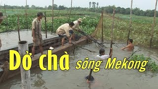 Trải nghiệm thú vị trong lần dở chà ven sông Mekong Việt Nam [upl. by Llertal]