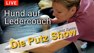 Hund auf Ledercouch  DiePutzShow mit Katrin [upl. by Juline]