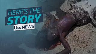 The mermaid sighting video thats dividing opinion on TikTok  ITV News [upl. by Miarzim]