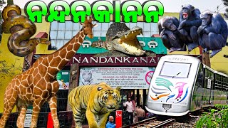 Nandankanan Zoological Park  3rd Largest Zoo of India  Bhubaneswar  2023 [upl. by Anastatius379]