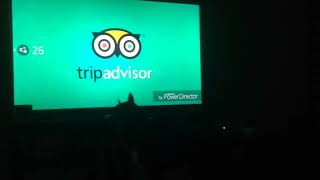 Dog going cray Cray over TripAdvisor and XYZAL commercial [upl. by Ekihc]