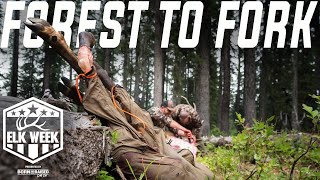 How to Butcher an Elk From Field to Table  Elk Week 2023 [upl. by Auberon985]