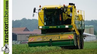 Erbsenernte in Rhede und Borken durch LU Laarakker mit Ploeger JD6150R und Dezeure Pea harvest [upl. by Eniowtna763]