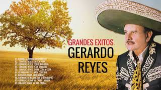 Gerardo Reyes Grandes Éxitos Mix  Las Grandes Exitos de Gerardo Reyes Álbum completo [upl. by Adneral]