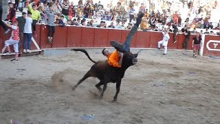 VAQUILLAS TOLOSA LUNES DE CARNAVAL  Marqués de Saka [upl. by Ahsikcin]