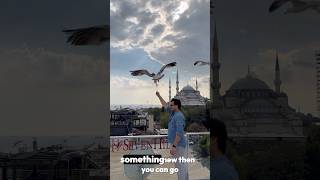 Seven hills Restaurant in Istanbul turkey shorts istanbul sultanahmet sevenhills seagull [upl. by Niamrej]