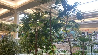 Indoor Palms at Market Mall Saskatoon [upl. by Rafaela]