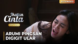 SENJATA MAKAN TUAN Arumi Kesakitan Digigit Ular Berbisah  IKATAN CINTA  EPS1344 24 [upl. by Esiuqram]