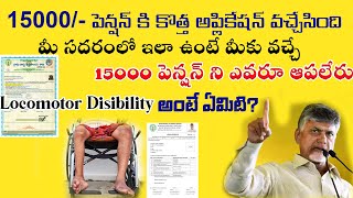 15000 పెన్షన్ కి అసలు ఎవరు అర్హులు DM amp HO Pension NTR BHAROSHA PENSION SCHEME  2024 [upl. by Upshaw]