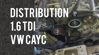 16 TDI timing belt replacement  changement kit distribution Zahnriemenwechsel [upl. by Melvyn345]