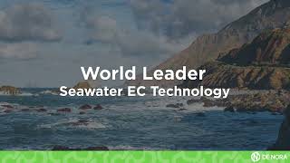 Seawater Electrochlorination Technology World Leader  De Nora [upl. by Yerag55]