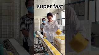 Factory satisfying work soldering factory satisfying song [upl. by Sucam]