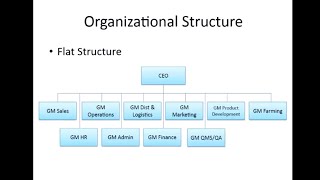 Organizational Structure  Resource Management amp Leadership Webinar  Part 5 [upl. by Ibok623]