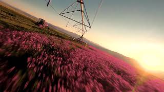 Sainfoin Farming in Montana [upl. by Dawna431]