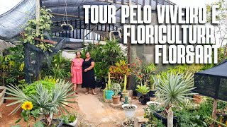 TOUR POR UMA FLORICULTURA QUE TEM DE PLANTAS MORDENAS À PLANTAS DA VOVÓ  PLANTAS ORNAMENTAIS [upl. by Iharas474]