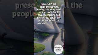 Healing Through Scripture Luke 847 48 Inspiring Bible Verse with Beautiful Swan Picture Shorts [upl. by Germano]