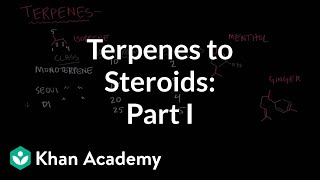 From terpenes to steroids part 1 Terpenes  Endocrine system physiology  NCLEXRN  Khan Academy [upl. by Acessej270]