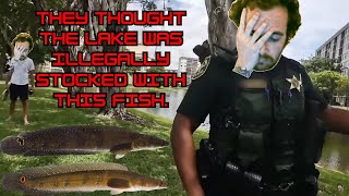 Karen Calls Cops  My First Snakehead  Old Live Stream Highlight [upl. by Gauntlett]