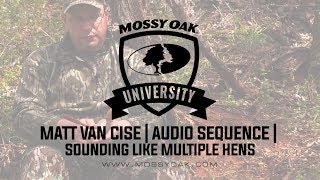 Matt Van Cise  Turkey Calling Audio Sequence  Multiple Hens [upl. by Boudreaux]