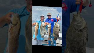 Incredible Fishing season is here Yankeetown Florida tripletail redfish blackdrum boat girl [upl. by Novad]