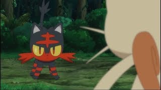 Litten Versus Meowth [upl. by Bax]