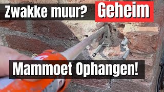 Muur te zwak Geheime truc om aan alle zwakke muren een mammoet op te hangen [upl. by Adikram]