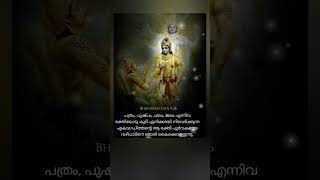 Lord Sree Krishna Quotes  Bhagavad Gita  Malayalam [upl. by Ahsinan]