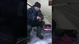 wow fishing winter рыбалка icefishinglife icefishinglife winterfishing [upl. by Ainet]