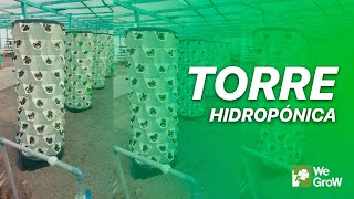 ✅Hidroponía Vertical  We Grow ✅ [upl. by Aden]