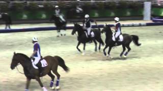 Final FEI WEG Horseball France  Spain 2014 [upl. by Norrv39]