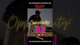 NCAA D2 OPPORTUNITIES FOR UNCOMMITTED BASEBALL PLAYERS – ALL POSITIONS 2025 baseballrecruiting [upl. by Lennahs707]