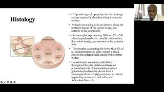 Pituitary Adenomas Surgical anatomy pathophysiology evaluation and treatment [upl. by Granger]