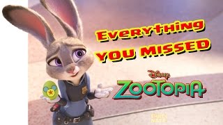 ZOOTOPIA Everything You Missed [upl. by Hutchinson]