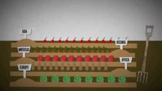 What causes seizures and how can we treat them  Christopher E Gaw [upl. by Mather]