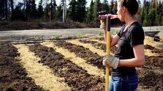 Turning this Bare Land into a Garden [upl. by Merc]