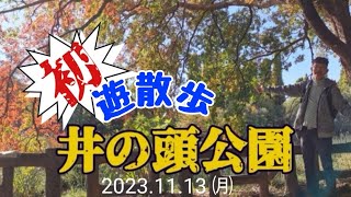 【井の頭公園】初ウォーク しげちゃんの今日も絶好調 [upl. by Lananna]