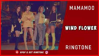 MAMAMOO  WIND FLOWER RINGTONE  DOWNLOAD [upl. by Aipmylo834]