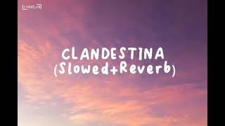 Clandestina SlowedReverbclandestina slowedandreverb perfectlyslowed [upl. by Enyleuqcaj590]