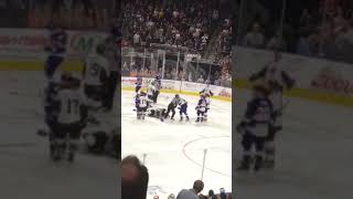 Jacksonville icemen fight2 [upl. by Det]