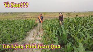 Linh Philip  Tâm Sự Trải Lòng Lý Do Vì Sao Để Anh Quý Chia Tay Anh Em Trong Việt Phi Farm [upl. by Feirahs774]