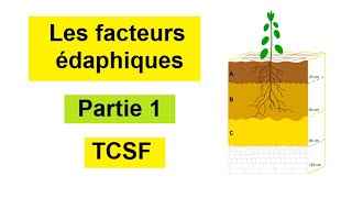 Les facteurs édaphiques tronc commun BIOF  Partie 1 [upl. by Yelnats]