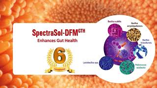 SpectraSol DFM GTH [upl. by Eveam]