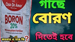 গাছের গুরুত্বপূর্ণ অনুখাদ্য বরণের সঠিক ব্যবহার [upl. by Granlund455]