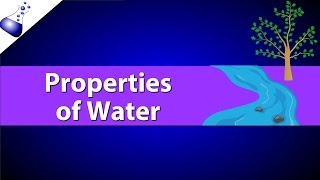 Properties of Water [upl. by Anat]