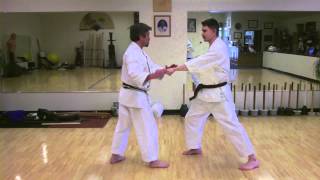 GoJuRyu Basic Bunkai [upl. by Nikoletta]