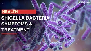 Shigella Bacteria Creates Serious Threat In US Know Symptoms Causes And Treatment [upl. by Anomor973]