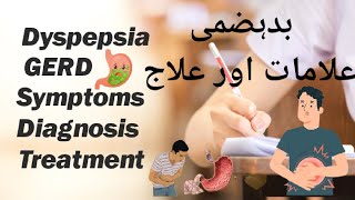 Stomach DiseasesDyspepsiaGERDSymptoms and Treatment [upl. by Gilli]