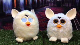 Comparison Furby Fake White [upl. by Chickie644]