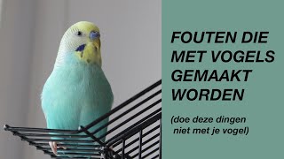 Veelvoorkomende Fouten Die Met Vogels Gemaakt Worden [upl. by Trub171]