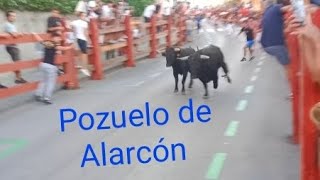 Encierro Pozuelo de Alarcón 2024 🏃🐂 [upl. by Bough644]